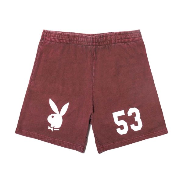 1953 Sweatshorts on Sale - Image 3